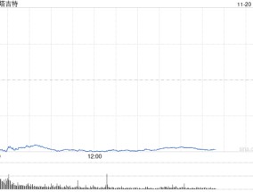 塔吉特股价盘前重挫 此前该公司下调盈利预期